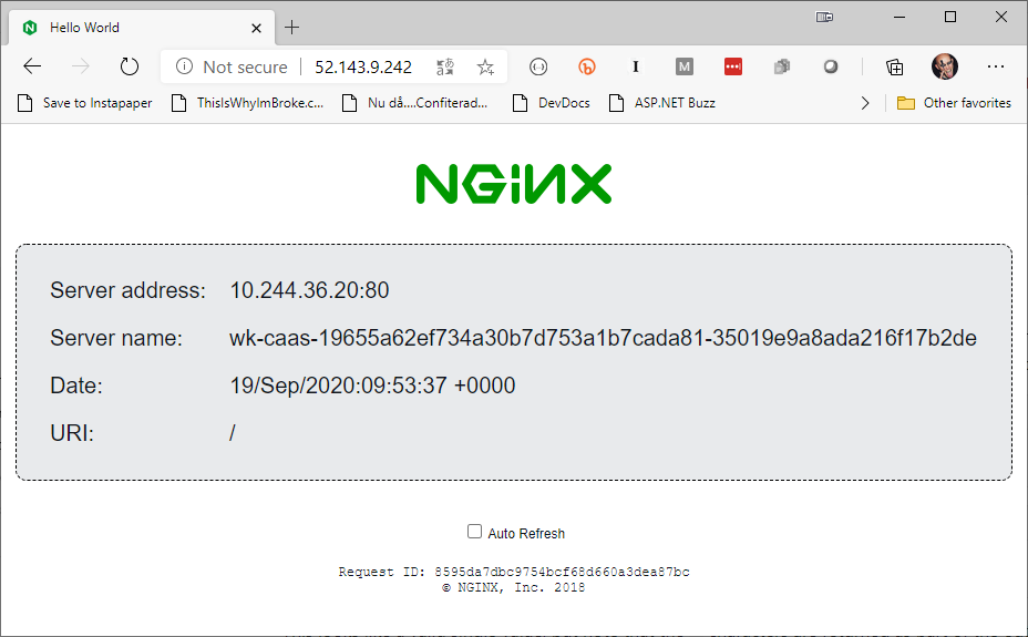 nginx displaying custom html using ACI